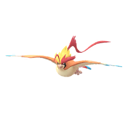 Mega Pidgeot