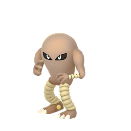 Shadow Hitmonlee