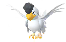 Squawkabilly (White)