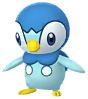 Piplup