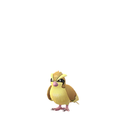 PIDGEY