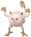 Mankey