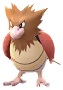 Spearow