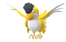 Squawkabilly (Yellow)