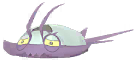 Wimpod
