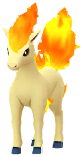 Ponyta