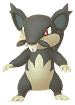 Alolan Rattata