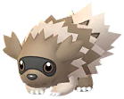 Zigzagoon